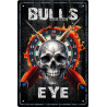 Blechschild Dart Bulls Eye