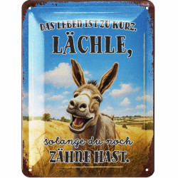 Blechschild Lächle solang du noch Zähne hast - Lanolu 15x20 cm
