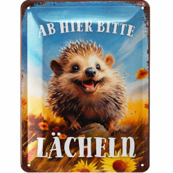Blechschild Ab hier lächeln - Lanolu 15x20 cm