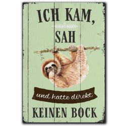 Ich kam, sah und hatte keinen Bock  - Lanolu Kühlschrank-Magnet