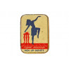 alte Grammophon Nadeldose Sognar Pick-Up-Dorate