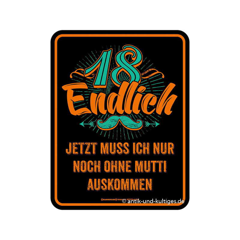 Witziges Rahmenlos Blechschild 18 endlich - 17x22 cm