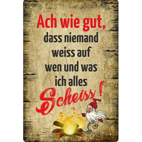Blechschild Ach wie gut dass niemand weiß... FunSchilder Antik und