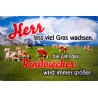 Blechschild Herr lass Gras wachsen