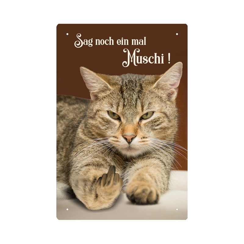 Blechschild Sag noch ein Mal Muschi