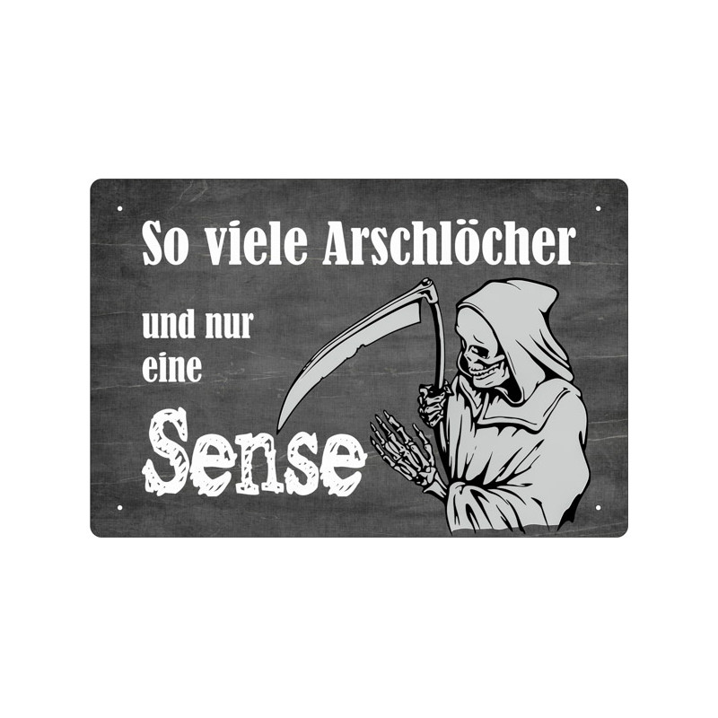 Blechschild So viele Arschlöcher