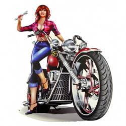 Blechschild Motorrad Pin Up...