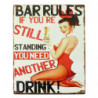 Blechschild Bar Rules Pin Up Girl