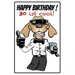 Blechschild Happy Birthday 30 ist cool
