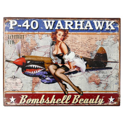 Blechschild Bombshell Warhawk Pin Up Girl