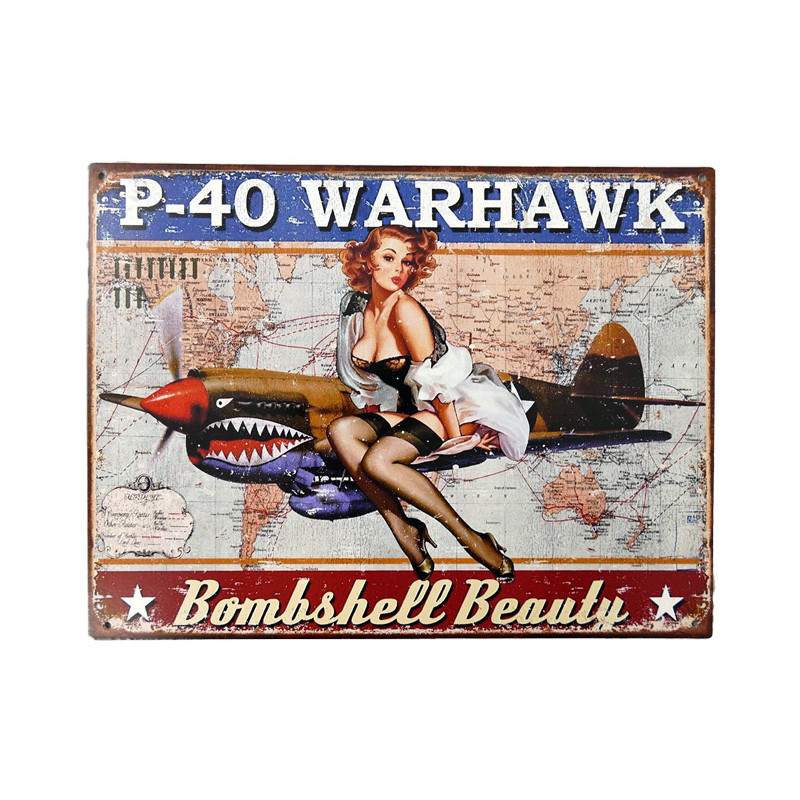 Blechschild Bombshell Warhawk Pin Up Girl