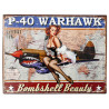 Blechschild Bombshell Warhawk Pin Up Girl