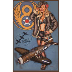 Blechschild Pin Up Girl Air Force Jagdflugzeug