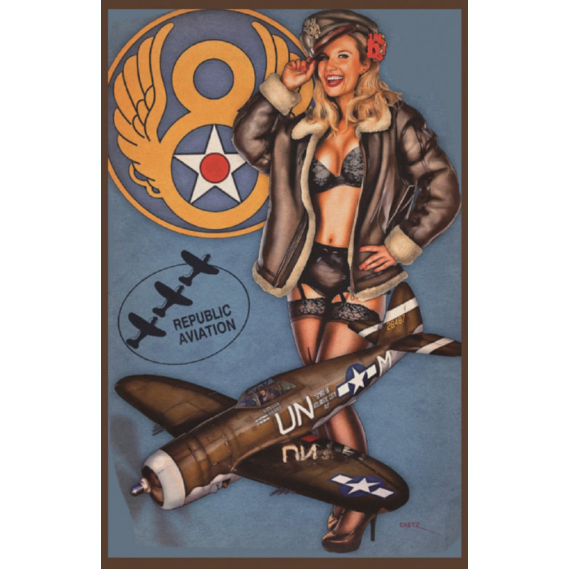 Blechschild Pin Up Girl Air Force Jagdflugzeug