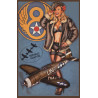 Blechschild Pin Up Girl Air Force Jagdflugzeug