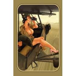 Blechschild Pin Up Girl Air Force Flugzeug