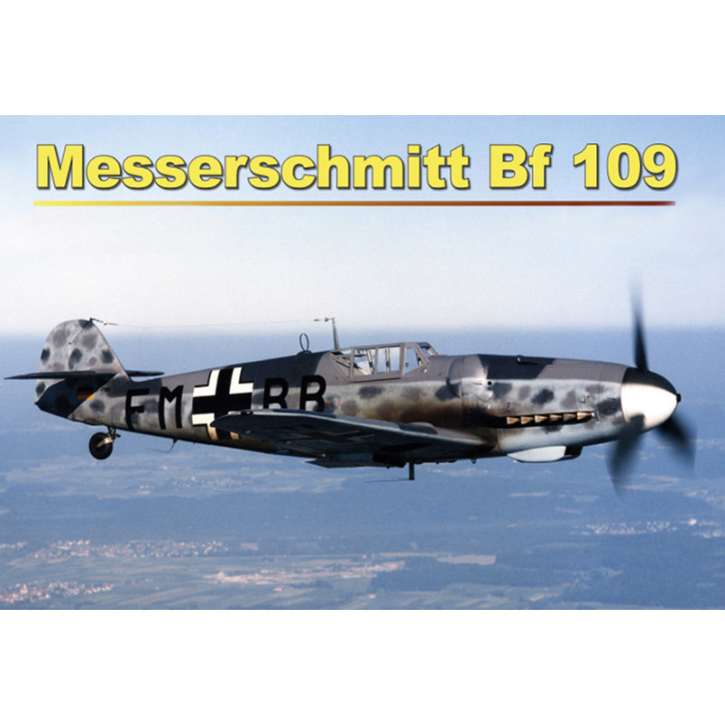 Blechschild Flugzeug Messerschmitt Bf 109 in der Luft