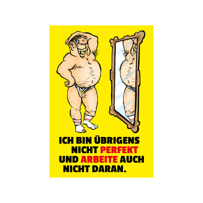 Blechschild Ich bin übrigens nicht perfekt Blechschild Ich bin übrigens nicht perfekt