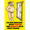 Blechschild Ich bin übrigens nicht perfekt